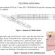 Drawing showing the angle of the collision and the configuration of the bow of the ACX Crystal.